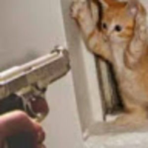 Meet your Posher, Patrick